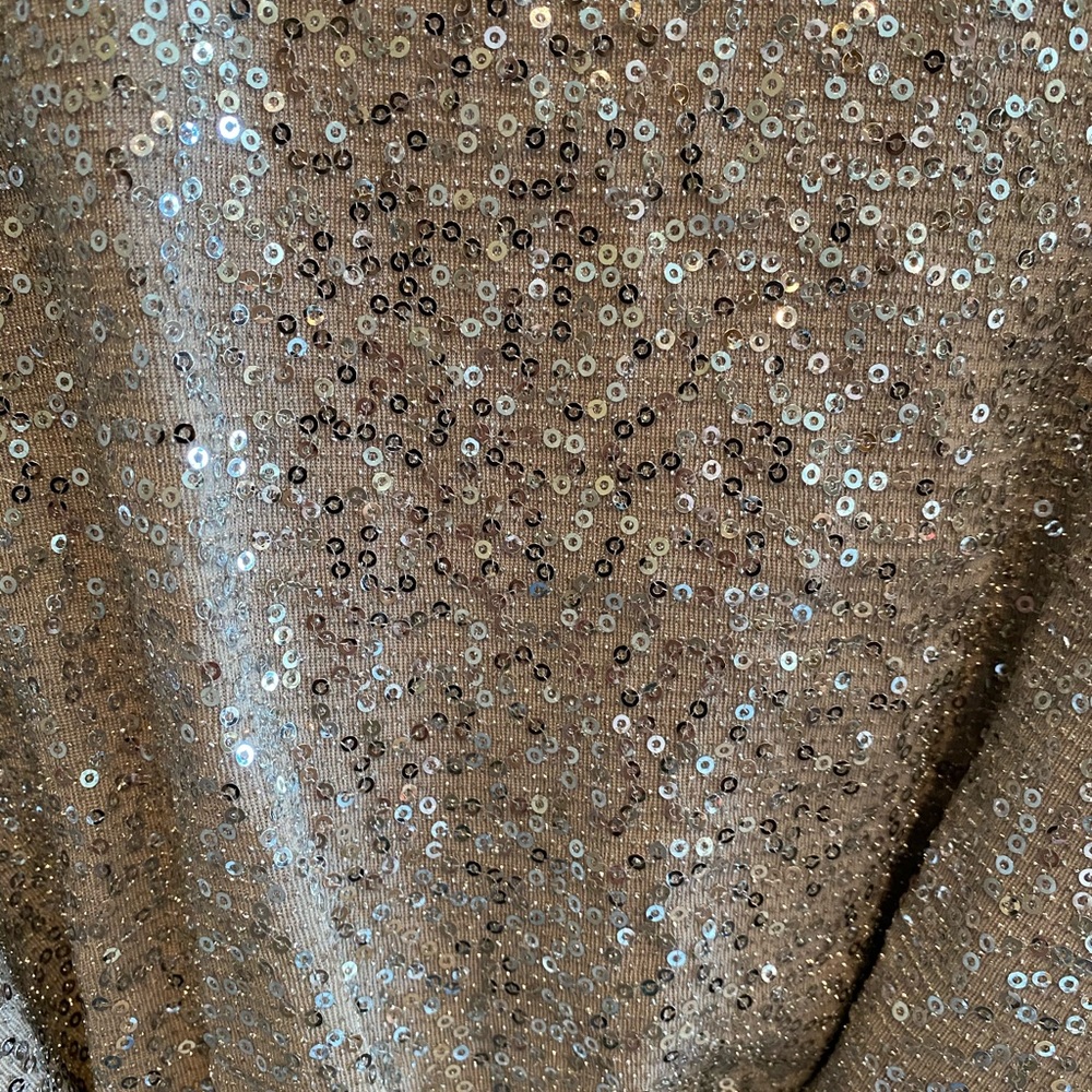 Express Dress - Picture 4 of 4